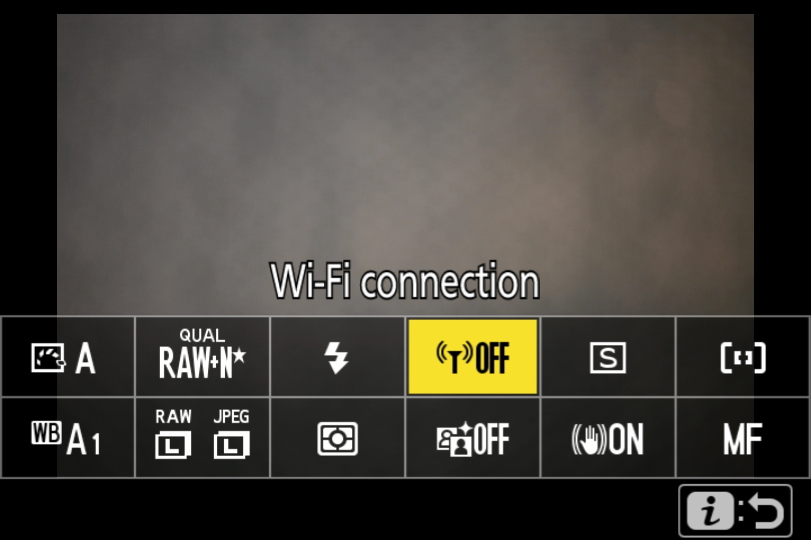 Nikon Quick Menu